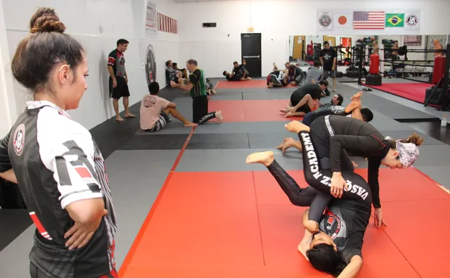 Brazilian Jiu-Jitsu - Students "rolling".